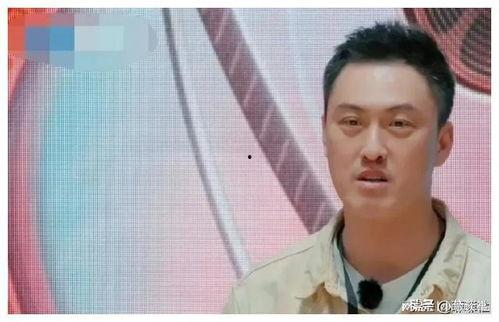 娱乐圈吃瓜爆料电视剧,揭秘那些年我们追过的剧背后的秘密