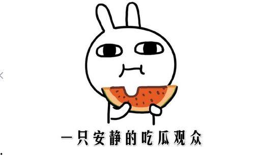 抖音娱乐圈吃瓜,抖音吃瓜群众揭秘幕后真相